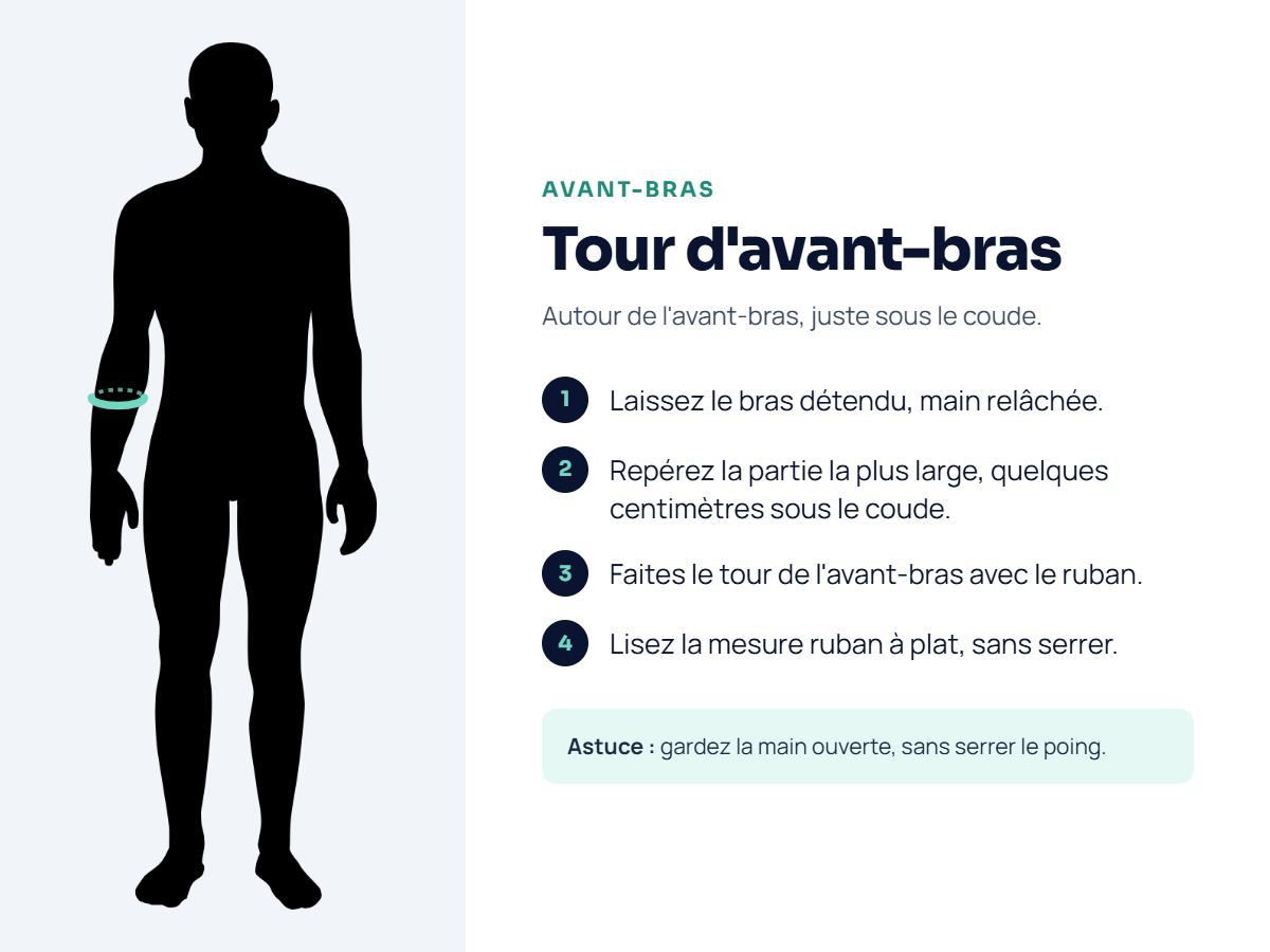 Avant bras
