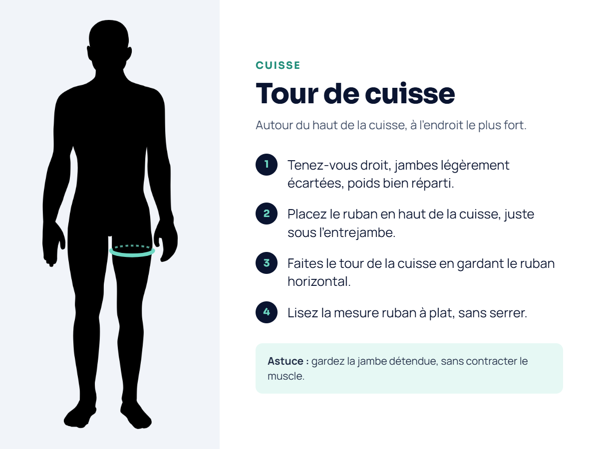 Cuisse